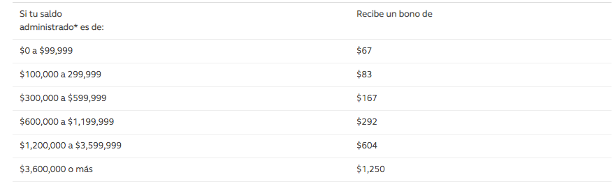saldo bono de registro
